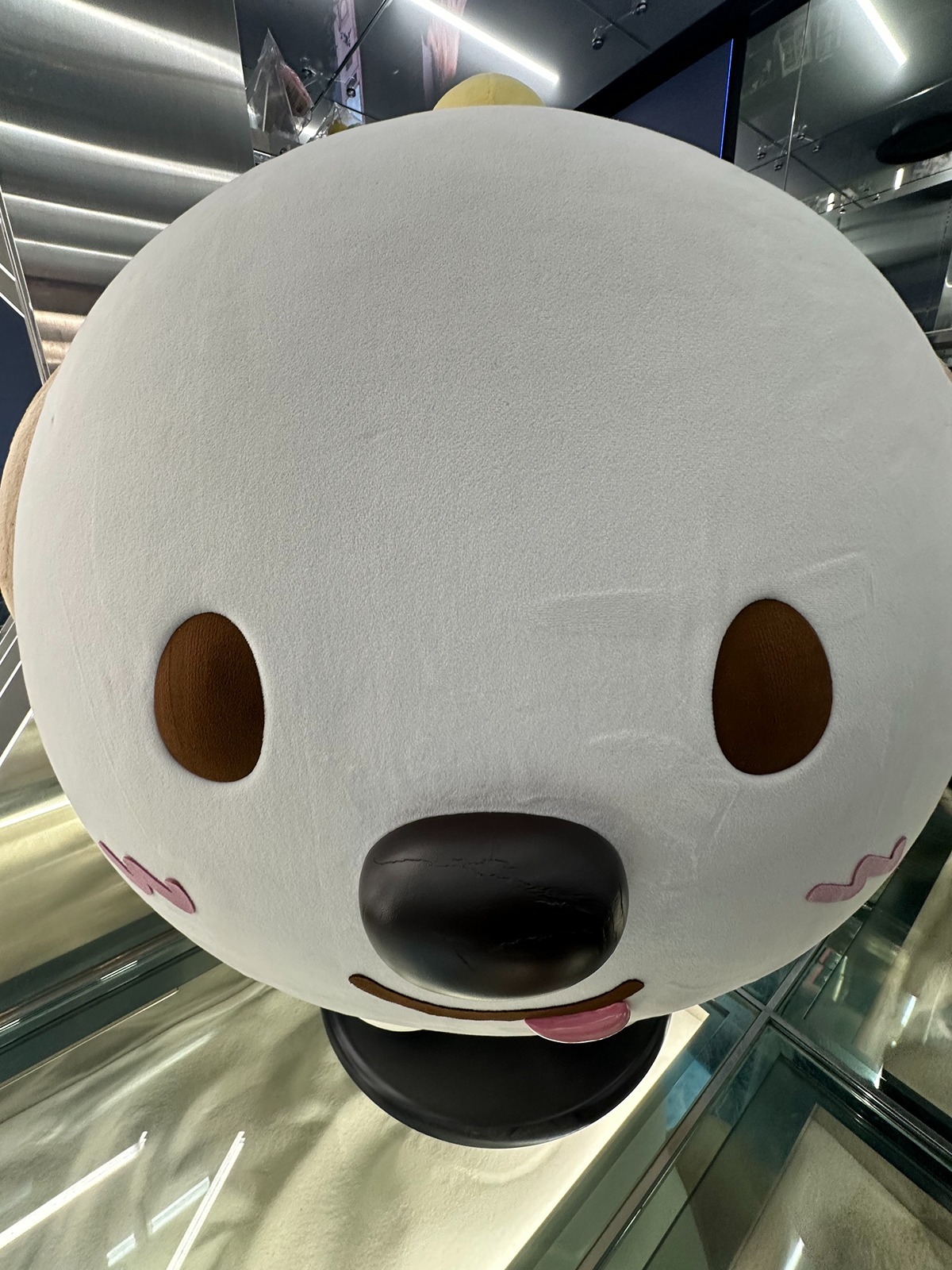 jVuoBz