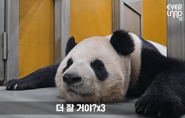 jXxuzq.gif