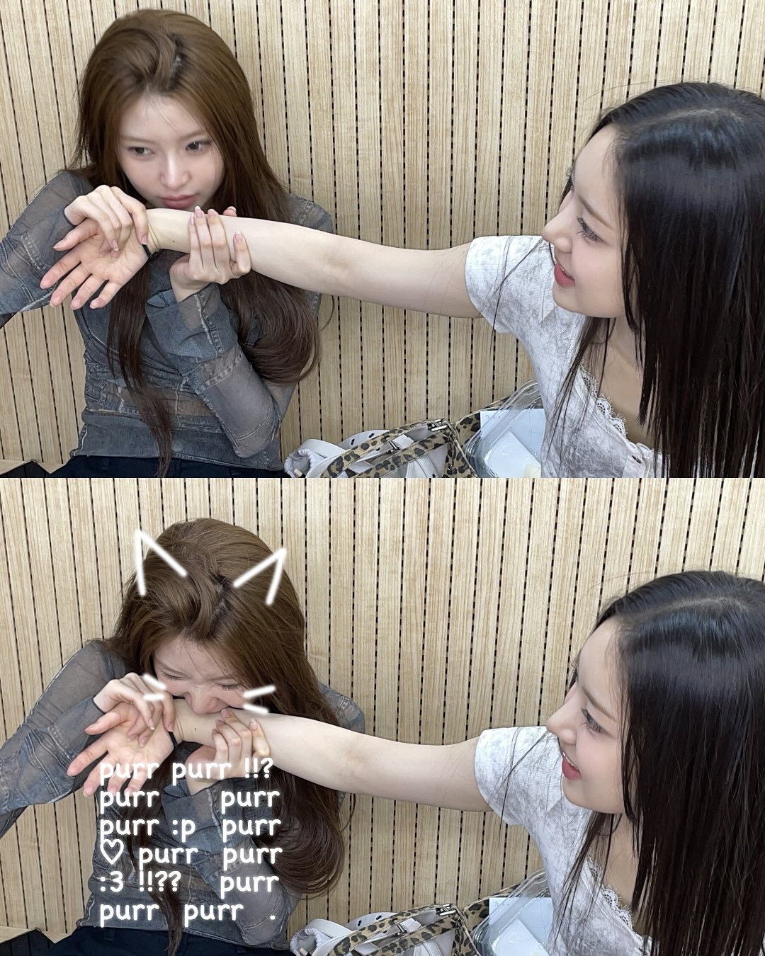 jZSNCl.jpg