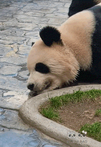 jZqMUm.gif