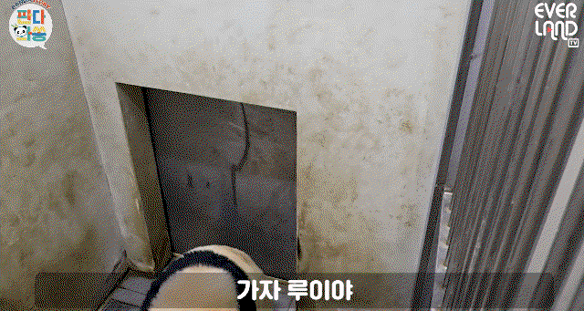 jaRpgL.gif