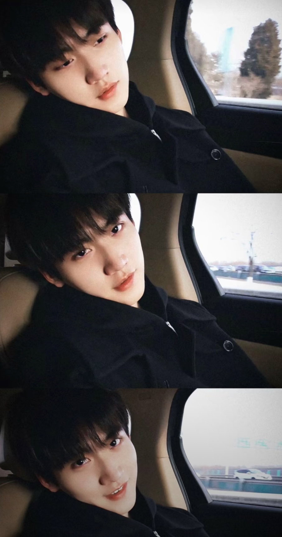 jaeurs