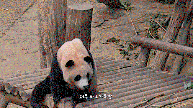 jcNcfI.gif