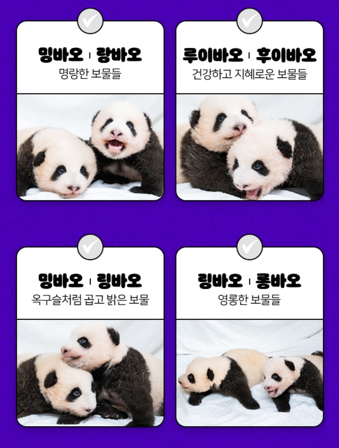 더쿠 - 아뉘 투표 페이지 사진 순서가 ㅋㅋㅋ