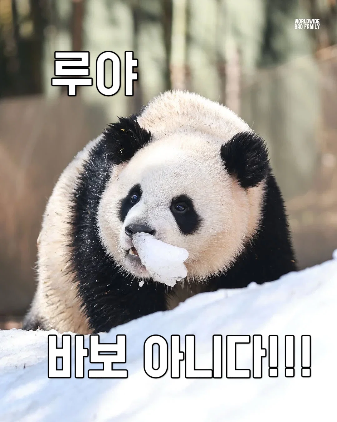 jiiJSF