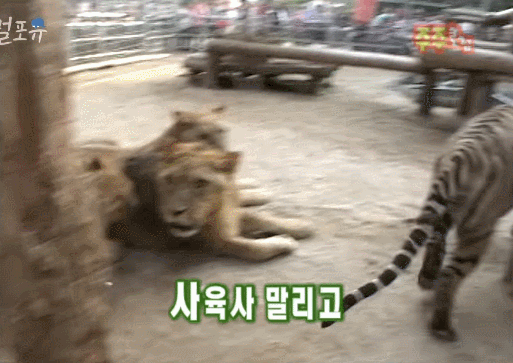 jjPvry.gif