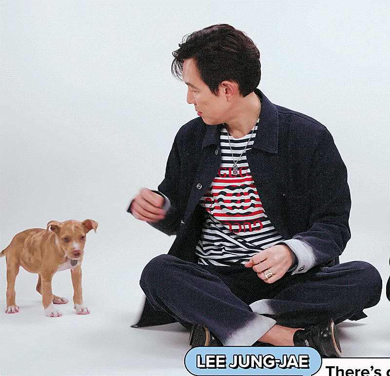 jjebdL.gif