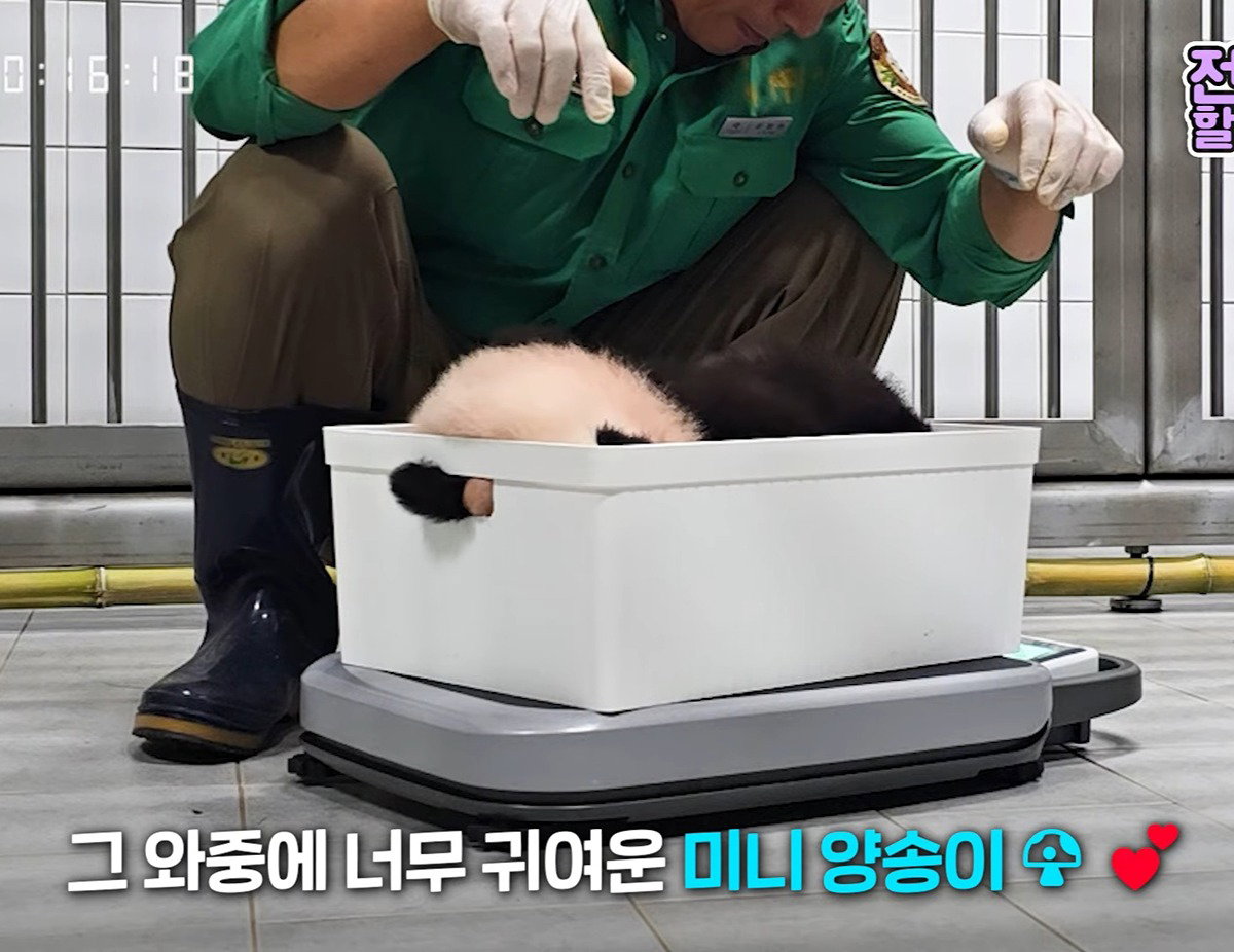 jkSLRV