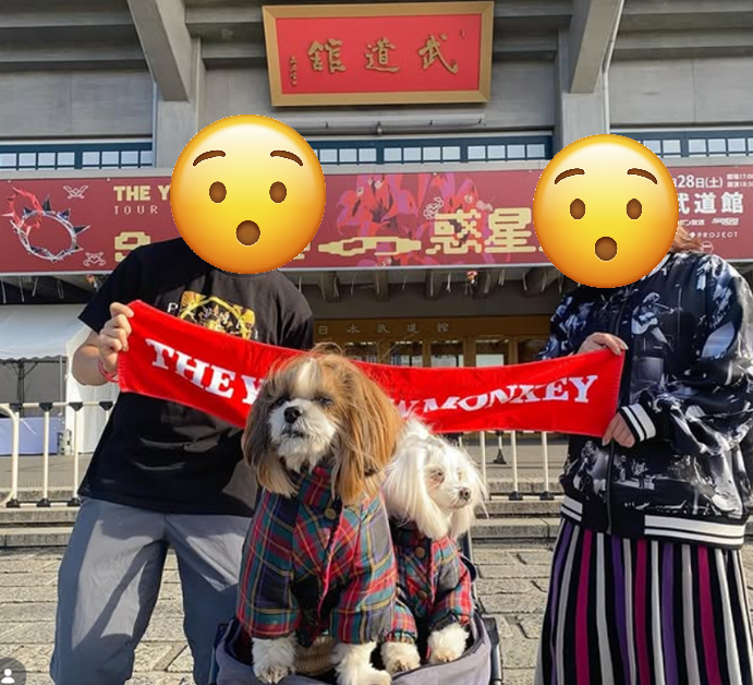 jmAPNX