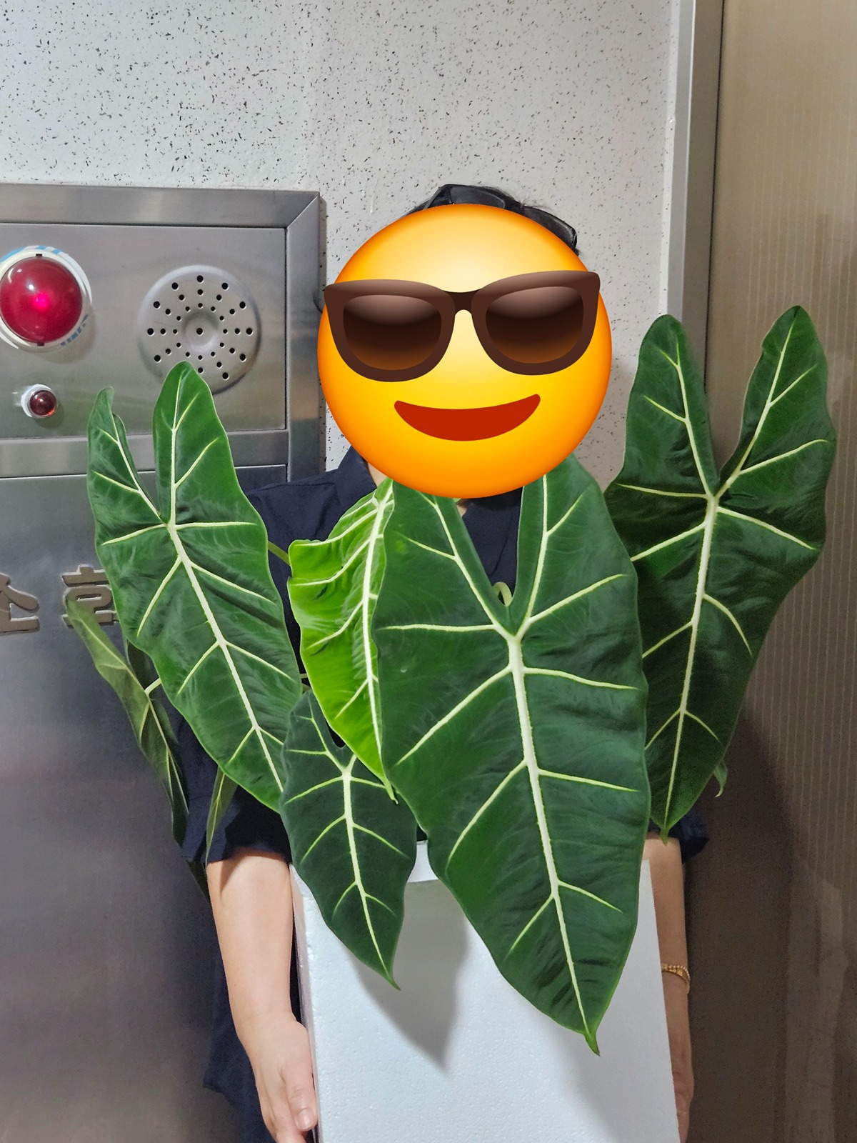 jnnEXx