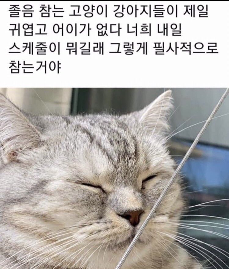jpwvku