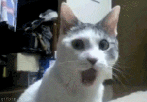 jqmIuU.gif
