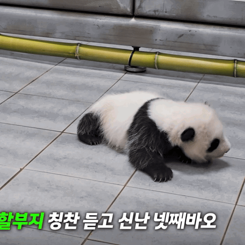 jrQWTN.gif