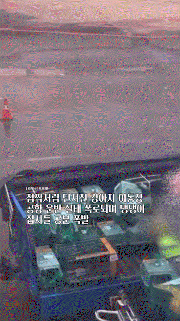 jratqA.gif