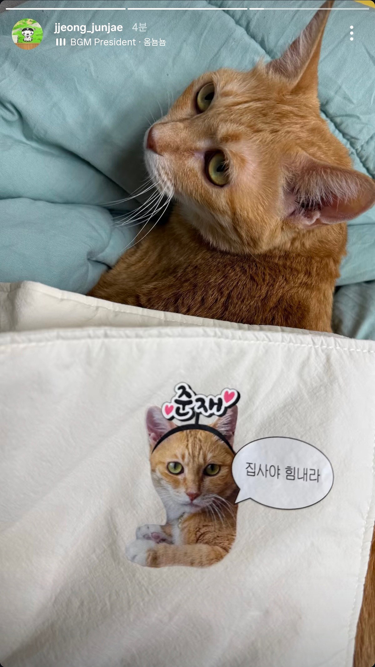 jsqdQG