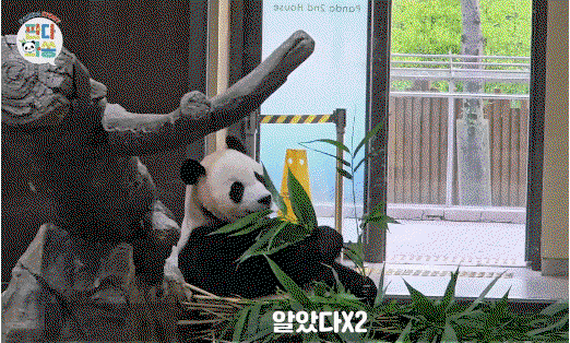 jtgzxQ.gif