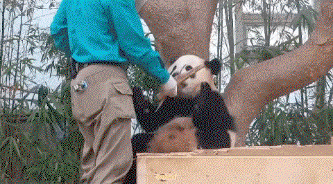 juSaMY.gif
