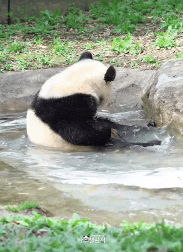juTWpx.gif