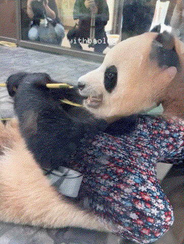 jwbPNP.gif