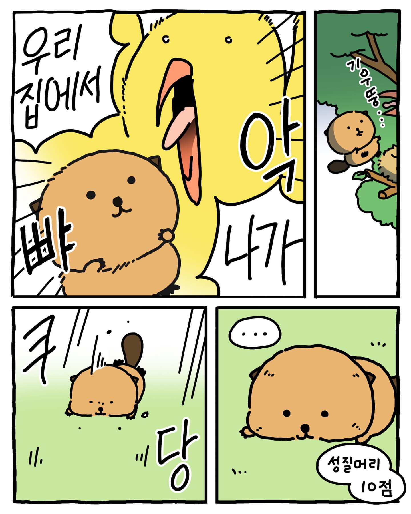 jyACyl