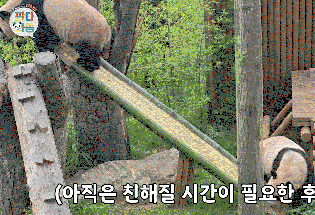 jyAELP.gif