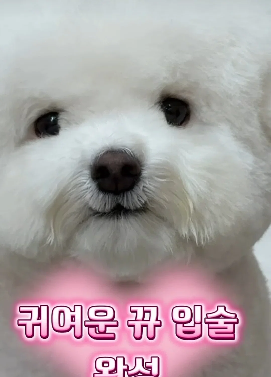 kAZexD