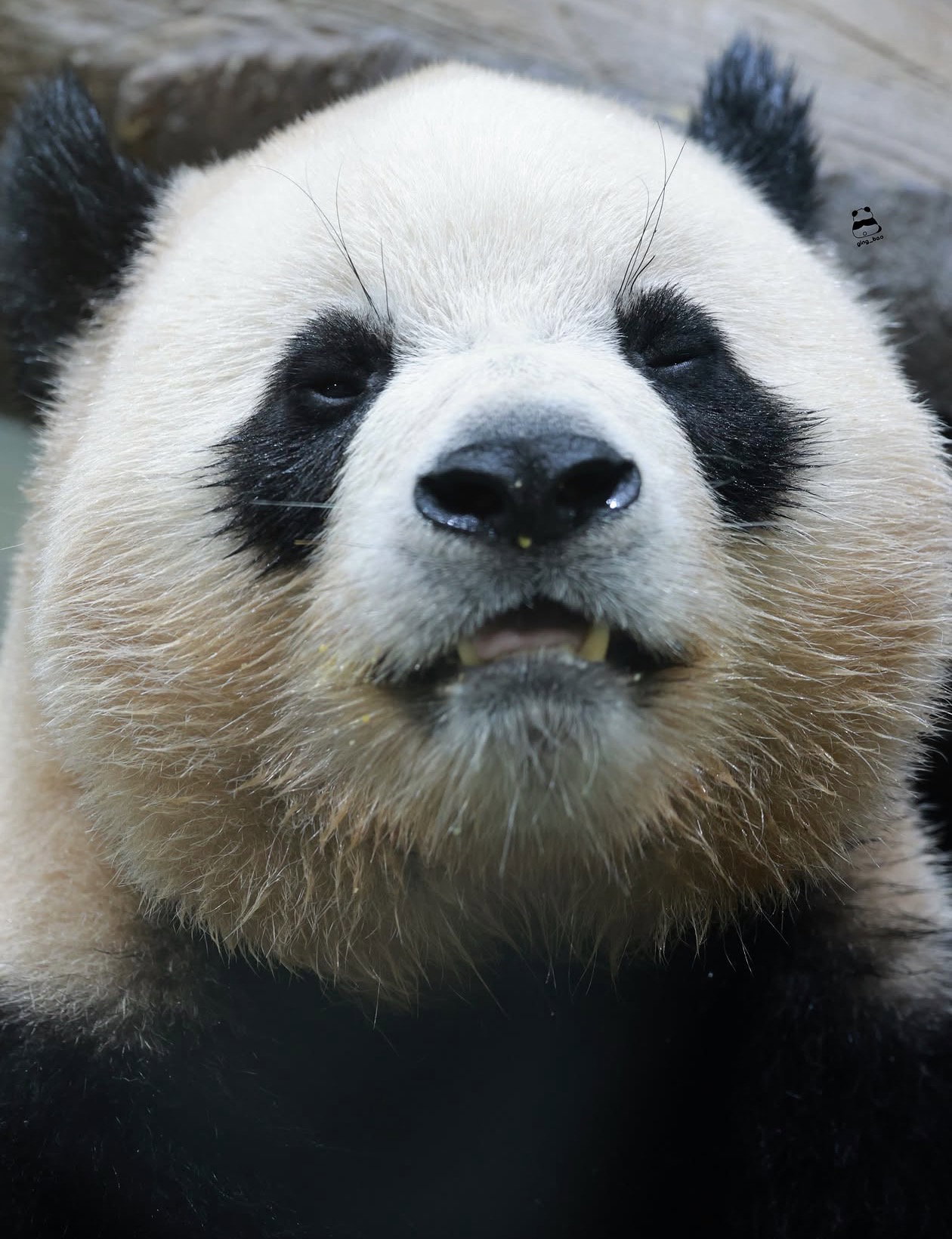kBYxUe