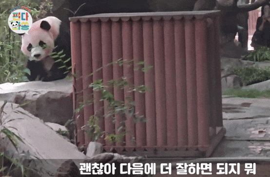kBqDIb.gif
