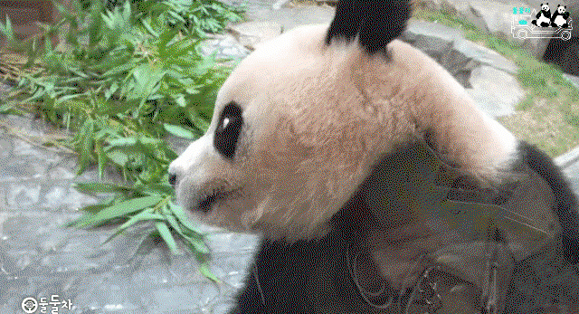kCfGQd.gif