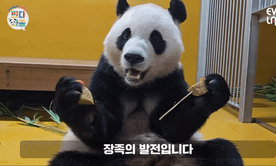 kDDURI.gif