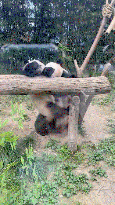 kEFrpd.gif