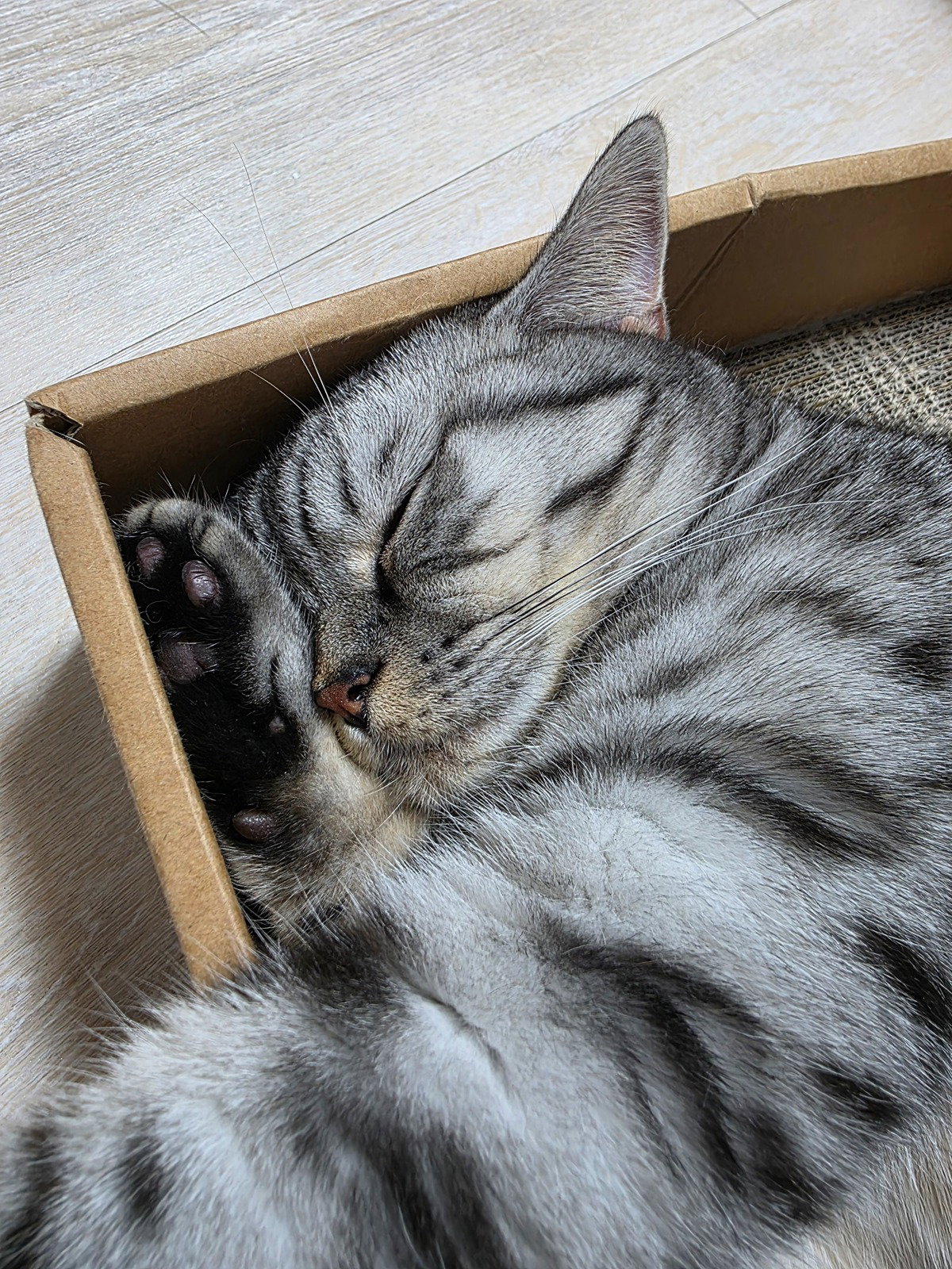 kGVGXb