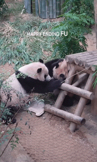 kGlSKd.gif