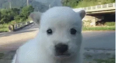 kGynxQ
