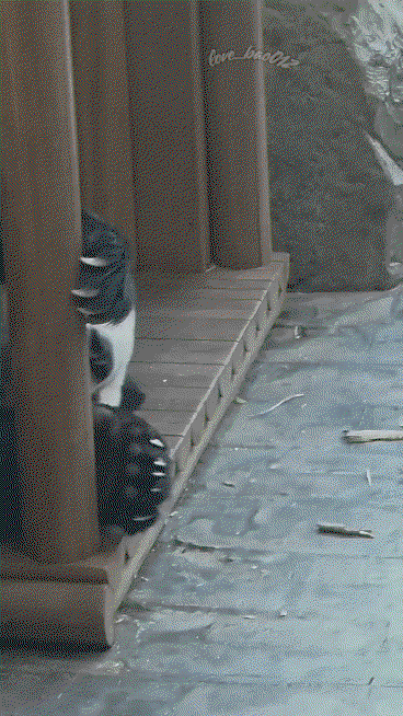 kHKfSJ.gif