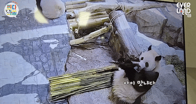 kIuVqO.gif