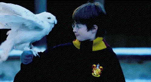 kLHaUj.gif