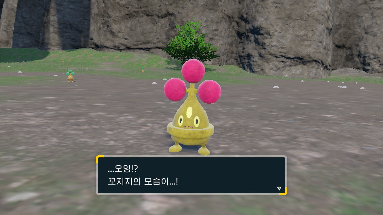 kNRrmF