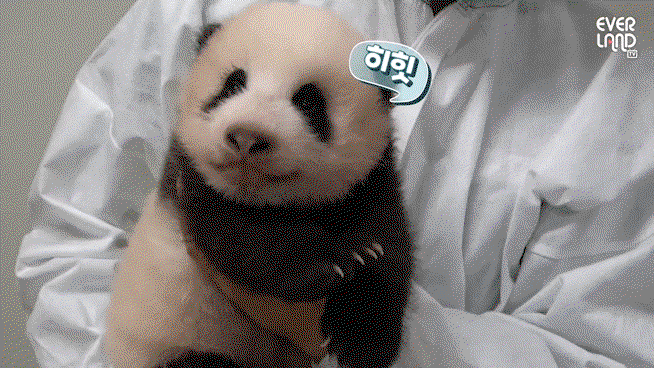 kPfrpK.gif