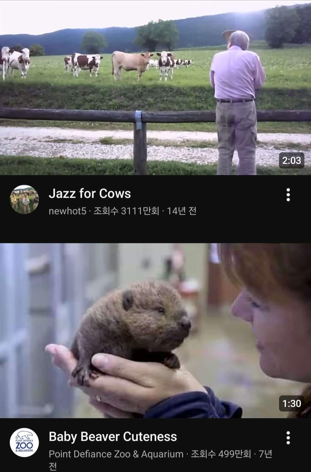 kQGrCl