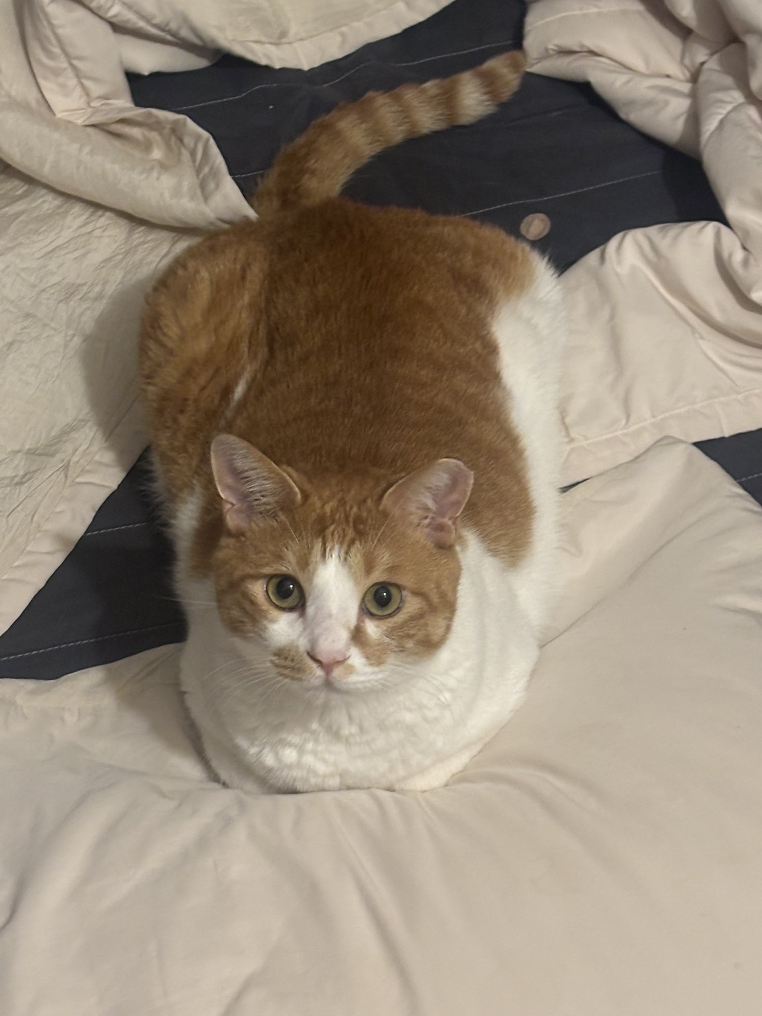 kQQBUN