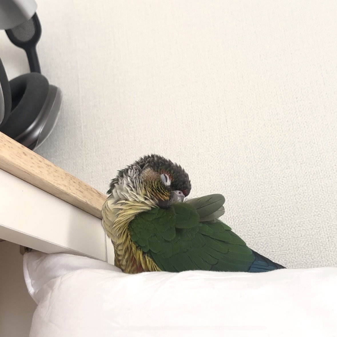 kVqBtZ
