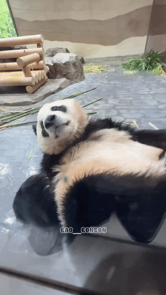 kWyQXa.gif
