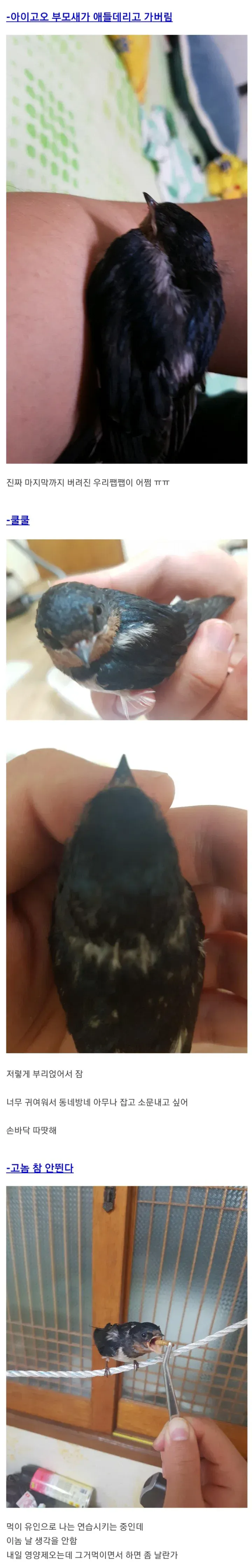 kWzGUN