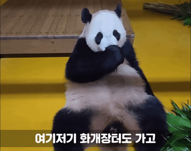 kYTBUs.gif