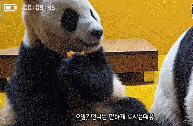 kZxxZF.gif