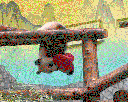 kaEamf.gif