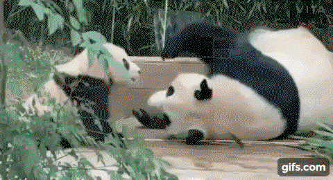 kaJNIy.gif