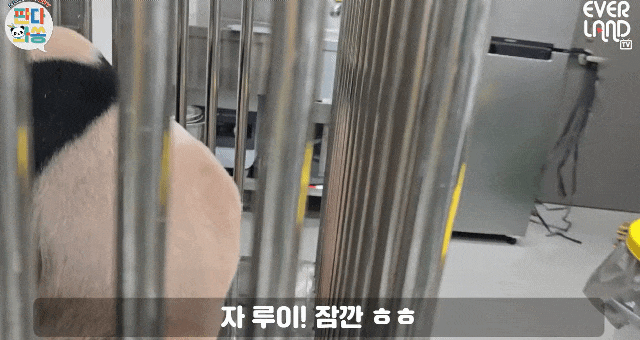 kaUUVL.gif