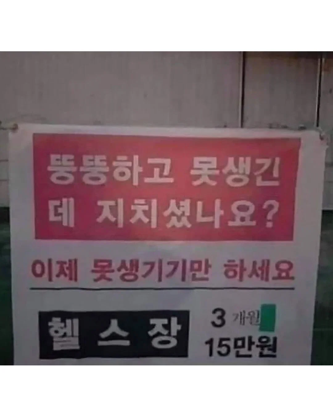 kdNYdL